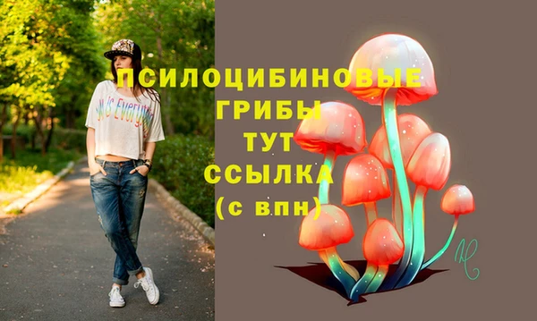 твердый Покров